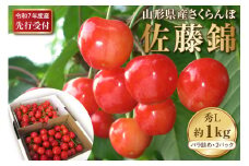 【令和7年産先行予約】さくらんぼ佐藤錦 秀L1kg以上(500gバラ詰め×2パック)山形県河北町産【晴天畑】