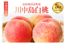 【令和7年産】川中島白桃 約5kg（13玉～16玉）山形県河北町産 【河北町観光物産協会】