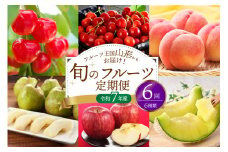 ※2025年発送※【令和7年産】山形県産 6種類 旬のフルーツ定期便（計6回） さくらんぼ 桃 メロン等