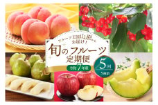 ※2025年発送※【令和7年産】山形県産 5種類 旬のフルーツ定期便（計5回） さくらんぼ  桃 メロン 洋梨 りんご