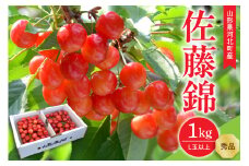  【令和7年産】さくらんぼ 佐藤錦1kg(500g×2パック)  L玉以上 ギフト箱入 秀品 山形県産【山形eLab】