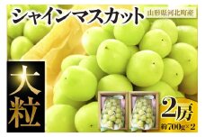 【はじまり農園 うの】大粒シャインマスカット２房（約700g） 山形県河北町産 【河北町観光物産協会】