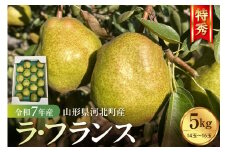 【令和7年産】食べ頃がわかる！ 洋梨「ラ・フランス」 特秀 約5kg（14玉～16玉） 山形県河北町産 【河北町観光物産協会】