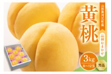 【令和7年産】黄桃 品種おまかせ 3kg (8～12玉前後) ギフト箱入 秀品 山形県産 【山形eLab】