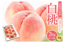 【令和7年産】白桃 品種おまかせ 3kg (8～12玉前後) ギフト箱入 秀品 山形県産 【山形eLab】