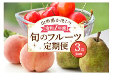 【計3回お届け（さくらんぼ入り）】令和7年産 山形県かほくの旬のフルーツ定期便【かほくらし社】