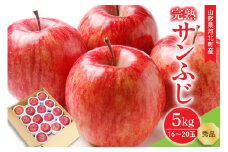 【令和7年産】サンふじりんご 完熟 5kg(約16～20玉) ギフトBOX入り 山形県河北町産【山形eLab】ka074-014