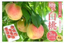 【令和7年産】硬い白桃 3kg(6～12玉前後) ギフト用 品種おまかせ 山形県河北町産【山形eLab】ka074-016
