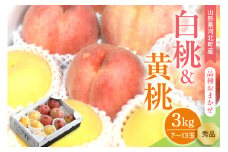 【令和7年産】白桃&黄桃 3kg(7～13玉前後) ギフト用 品種おまかせ 山形県河北町産【山形eLab】ka074-017