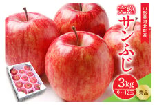 【令和7年産】サンふじりんご 完熟 3kg (9～12玉前後) 贈答用 秀品 山形県河北町産【山形eLab】ka074-013
