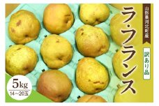 【訳あり令和7年産】 洋梨 ラフランス 5kg 山形県河北町産【山形eLab】ka074-012