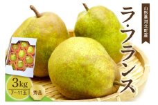 【令和7年産】洋梨 ラフランス 3kg(7～11玉前後) ギフト箱入り 山形県河北町産【山形eLab】ka074-011