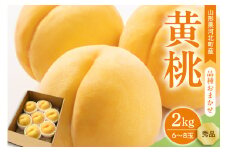 【令和7年産】黄桃 品種おまかせ 2kg (6~8玉前後) ギフト箱入 秀品 山形県産 【山形eLab】
