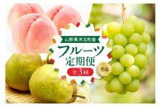 【令和７年産】河北町の夏と秋を満喫！お取り寄せフルーツ定期便3回(白桃・シャインマスカット・ラフランス)　【山形eLab】 ka074-030