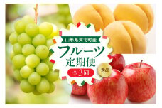 【令和7年産】8月から始まる・お取り寄せフルーツ定期便 3回 (黄桃・シャインマスカット・サンフジ)【山形eLab】　ka074-031
