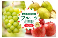 【令和7年産】河北町の山形らしいフルーツ定期便 3回(シャインマスカット・ラフランス・サンふじ)【山形eLab】 ka074-029