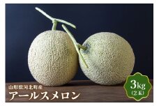 【令和7年産】山形県河北町産アールスメロン ３kg（2玉） ka008-021e