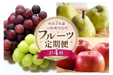 【令和7年産】山形県河北町産 フルーツ4回定期便【米COMEかほく協同組合】 シャインマスカット ピオーネ こうとく ラ・フランス ふじりんご 贈答 果物 旬 秋果実 ka024-073e-r7
