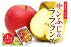 【令和7年産】サンふじ＆ラ・フランス 3kg(約9～12玉) 山形県 河北町産 【山形eLab】　ギフト 贈答 詰め合わせ セット ふじりんご ラフランス ka074-010