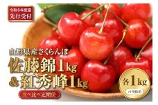【2026年産先行予約】さくらんぼ食べ比べ2回定期便 「佐藤錦」と「紅秀峰」 各1㎏(500g×2） 山形県河北町産 【晴天畑】 さくらんぼ 贈答 ギフト 秀品 先行予約 食べ比べ 令和8年産  ka073-011