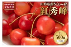 【2026年産先行予約】さくらんぼ紅秀峰 秀以上 2L 500g以上(500gバラ詰め×1パック)山形県河北町産【晴天畑】 さくらんぼ 山形県 ふるさと納税 大粒 紅秀峰 贈答 ギフト ka073-010