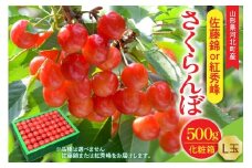 【令和8年産】さくらんぼ 佐藤錦or紅秀峰 500g L玉 手詰め 特秀品 化粧箱入 山形県河北町産 【山形eLab】フルーツ 人気 贈答 ふるさと納税 河北町 2026年産 品種おまかせ ka074-037