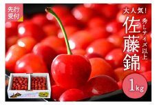 【令和8年産】さくらんぼ「佐藤錦」秀Ｌ以上１kgバラ詰 （500g×2パック）【JAさがえ西村山】 ka008-008e-r8