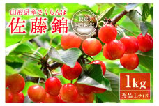 【令和8年産】朝採り＆当日出荷！イチ押し農家さんの朝採りさくらんぼ「佐藤錦」秀品 1kg（500g×2パック）バラ詰め 山形県河北町産【河北町観光物産協会】 ka002-005