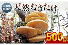 FYN9-030【先行予約】山形県西川町産 天然むきたけ 500g