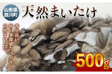 FYN9-028 《先行予約》山形県西川町産 天然まいたけ 500g