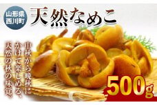 FYN9-026 《先行予約》山形県西川町産 天然なめこ 500g