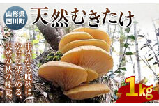 FYN9-029【先行予約】山形県西川町産 天然むきたけ 1kg