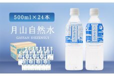 FYN9-013 月山自然水500ml×24本 天然水 国産 備蓄 防災 保存 ペットボトル ナチュラル 山形県 西川町