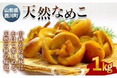 FYN9-025 《先行予約》山形県西川町産 天然なめこ 1kg