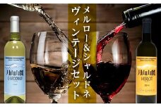 FYN6-105 【数量限定】月山山麓ワイン 赤・白 飲み比べ2本セット（メルロー・シャルドネヴィンテージ）720ml×2 ミディアムボディ 辛口 山形県 西川町