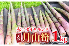 FYN9-156 《先行予約》『山菜ときのこの里西川町』 月山の初夏の香り 天然月山筍 1kg 筍 たけのこ タケノコ