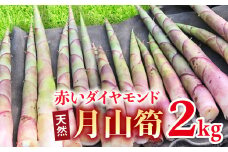 FYN9-157 《先行予約》『山菜ときのこの里西川町』 月山の初夏の香り 天然月山筍 2kg 筍 たけのこ タケノコ