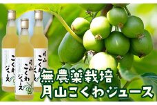 FYN9-179 月山こくわジュース 100％原液 さるなし コクワ 無農薬 酸味 山形県 西川町
