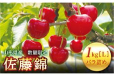 FYN9-256 《2025年先行予約》山形県産 さくらんぼ 佐藤錦 1kg(500g×2) 秀 L以上 バラパック詰め 2025年6月上旬から順次発送 果実 果物くだもの フルーツ 桜桃 サクランボ 化粧箱 贈り物 ギフト 贈答用 家庭用 自宅用 産地直送 山形県 西川町 月山