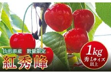FYN9-257 《2025年先行予約》山形県産 さくらんぼ 紅秀峰 1kg(500g×2) 秀 L以上 バラパック詰め 2025年6月中旬から順次発送 果実 果物くだもの フルーツ 桜桃 サクランボ 化粧箱 贈り物 ギフト 贈答用 家庭用 自宅用 産地直送 山形県 西川町 月山