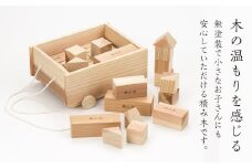 FYN9-276　西山杉積み木（ケース付き）