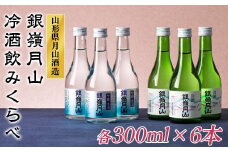 FYN9-303 山形の地酒【銀嶺月山】冷酒飲みくらべセット各300ml×6本 山形県 西川町