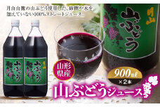 FYN9-297　月山 山ぶどうジュース900ml×2