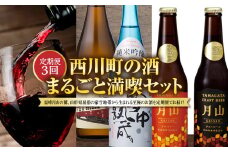 FYN9-752 【定期便3回】西川町の酒 まるごと満喫セット 山形県 西川町