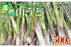 FYN9-151 《先行予約》『山菜ときのこの里西川町』 山里の春の香り 天然ウド 500g うど