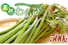 FYN9-153 《先行予約》『山菜ときのこの里』 山里の春の香り 天然わらび 500g