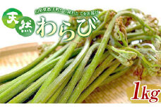 FYN9-154 《先行予約》『山菜ときのこの里』 山里の春の香り 天然わらび 1kg