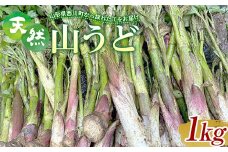 FYN9-152 《先行予約》『山菜ときのこの里西川町』 山里の春の香り 天然ウド 1kg うど
