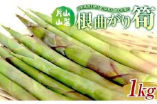 FYN9-365 《2025年先行予約》『山菜ときのこの里』 月山山麓の根曲がり筍(休耕地栽培) 1kg 2025年5月中旬頃から順次発送 山菜 さんさい 野菜 やさい根曲がり筍 ねまがりだけ 筍 たけのこ 家庭 自宅 料理 天ぷら 煮物 産地直送 山形県 西川町 月山