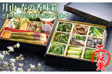 FYN9-163 ≪清流庭園 山菜料理 玉貴≫ 採れたての山菜料理詰め合わせ 月山 春の香味箱 二段重 2025年4月下旬から順次発送 野菜 やさい 山菜 さんさい 山の幸 採れたて 春 詰合せ 盛り合わせ 贈答 ギフト 家庭 自宅 山形県 西川町 月山